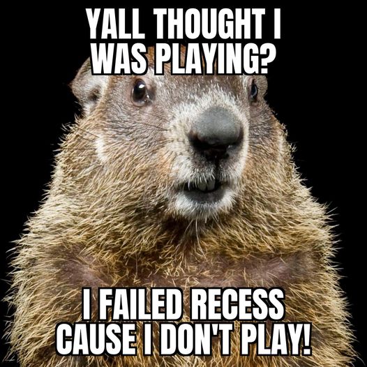 groundhog dont play.jpg
