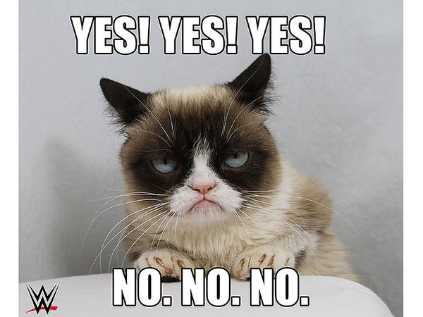grumpy-cat-800.jpg