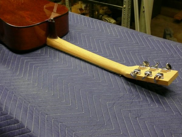 Guitar Neck.JPG