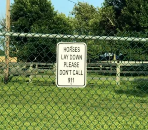 horses lay down sign.jpg