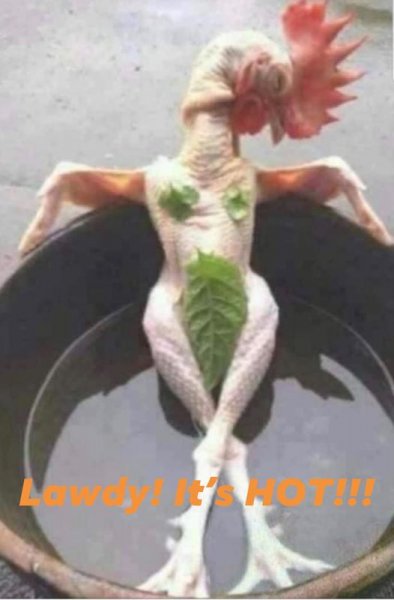 hot naked chicken.jpg