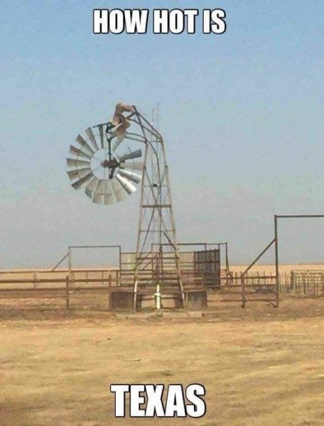 how hot is texas windmill drooping.jpg