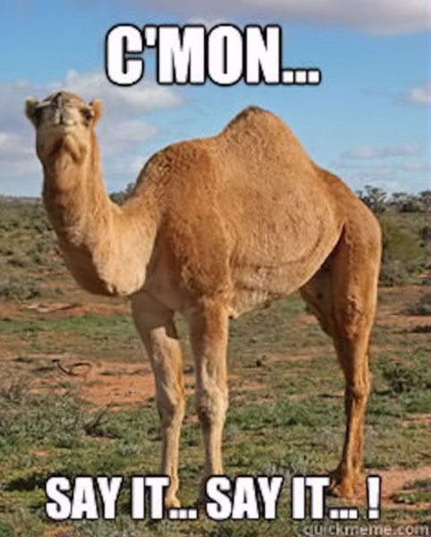image.jpeg