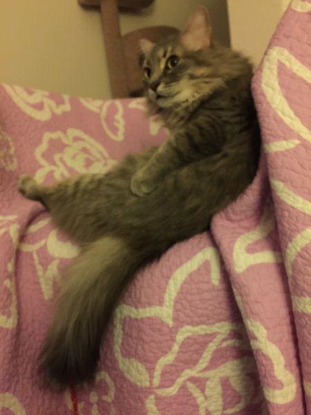 image.jpeg