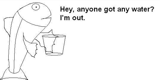 image.jpg