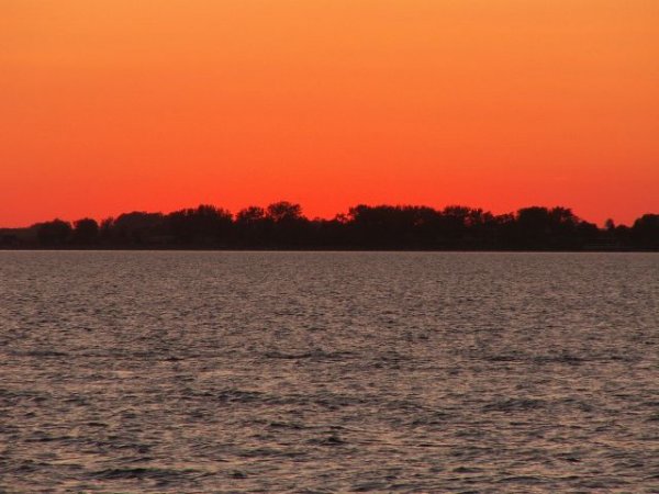 image_143.jpg