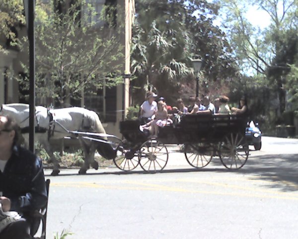 img021.jpg