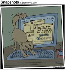 imgres.jpg