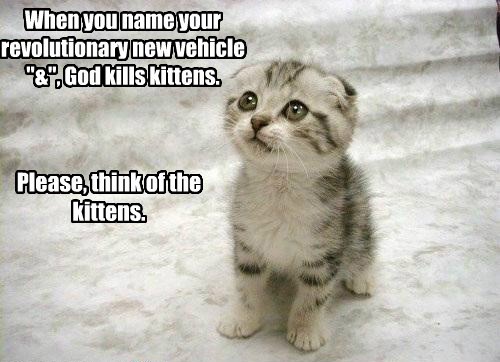 kitten.jpg