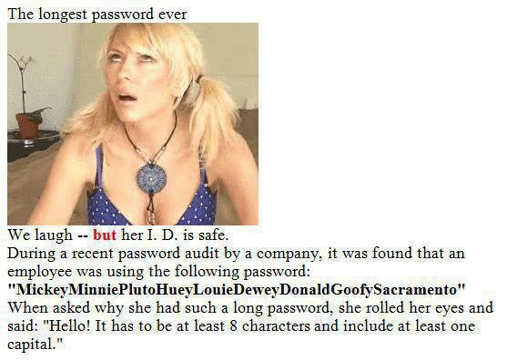 Longest Password ever.jpg
