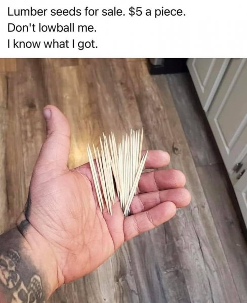 lumber seeds for sale.jpg
