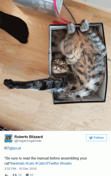 Manual.gif
