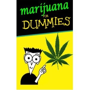 mary jane for dummies.jpg