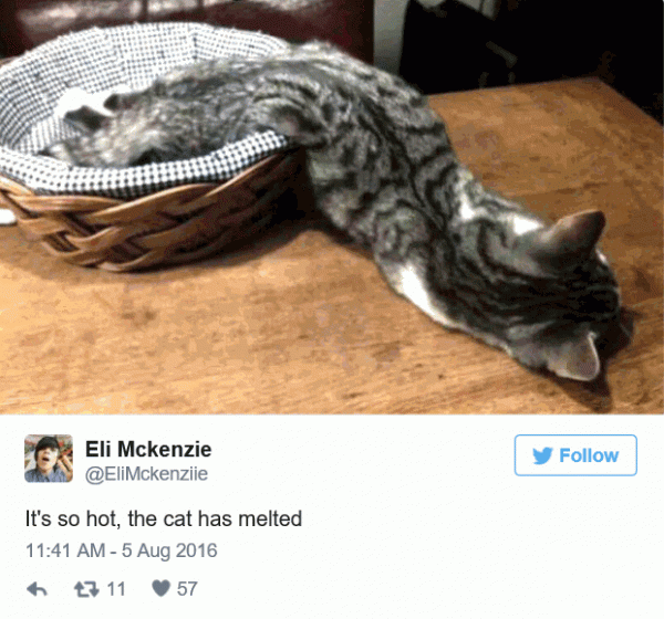 Melted.gif