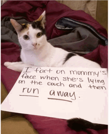Mom Napping.gif