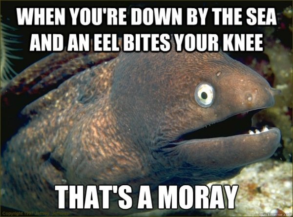 Moray.jpg