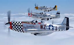 mustang paint scheme.jpg