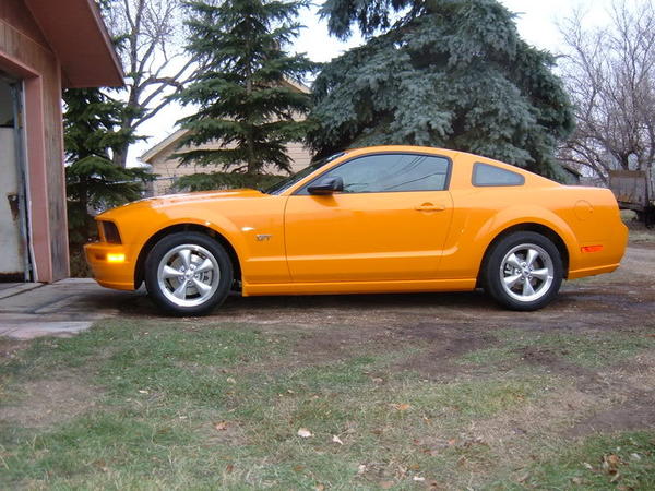 mustang016.jpg