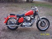 my pics 028.jpg