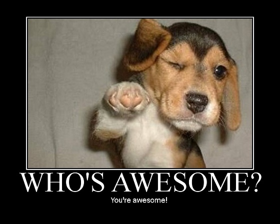 oh+thank+you+thats+an+awesome+gif+i+used+it+_4429653af2dae5992632dea81e673f43.jpg