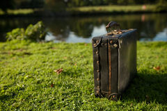 old-black-suitcase-river-â€¦-shallow-dof-38736481.jpeg