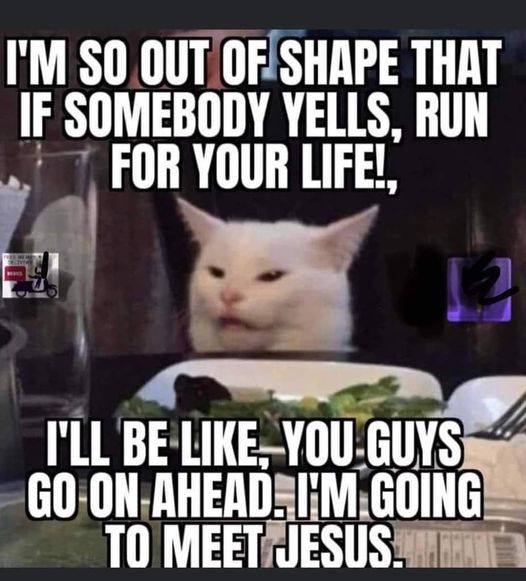 out of shape run for your life cat.jpg