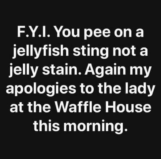pee on a jelly fish sting not jelly stain.jpg