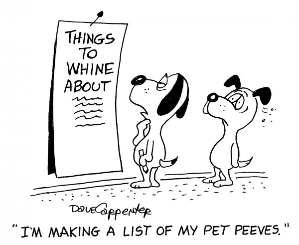 pet-2.jpg