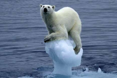 Polar_meltdown.jpg