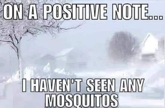 positve note no mosquitos.jpg