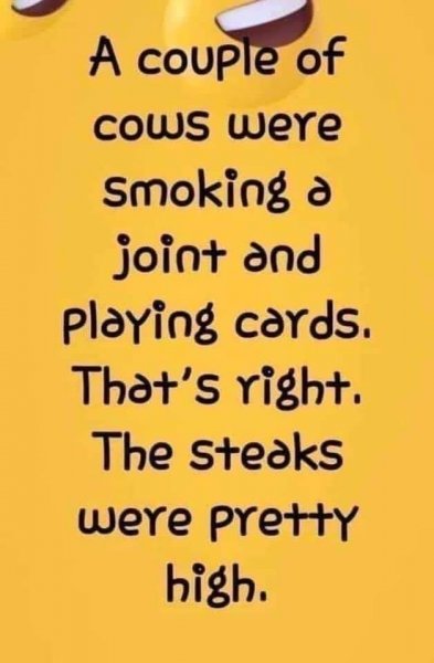 pot smoking cows playing poker.jpg