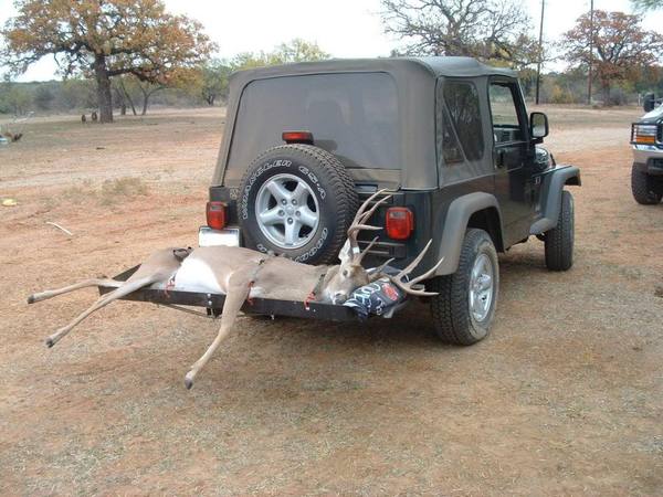 RangerTexas.jpg