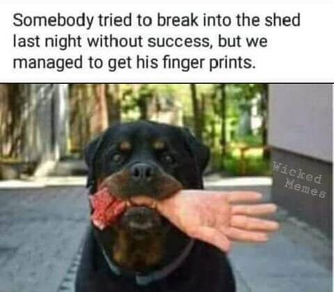 Rottweiler fingerprints.jpg