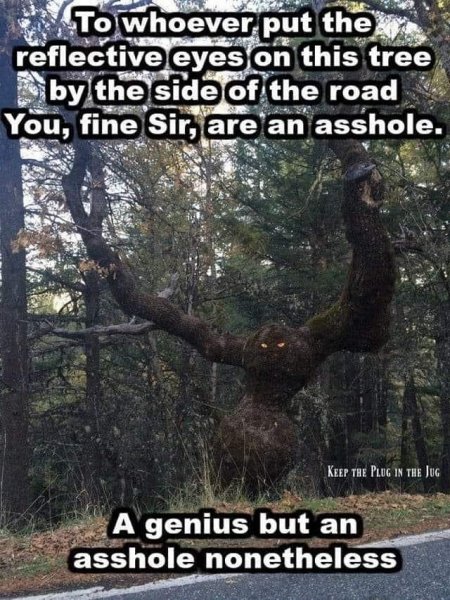 scary tree with eyes on side of road.jpg