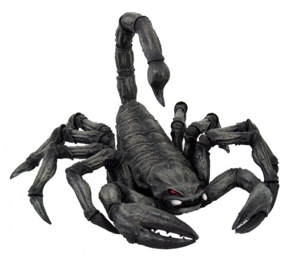 scorpion.jpg