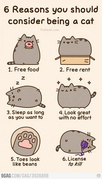 sixreasons[1].jpg