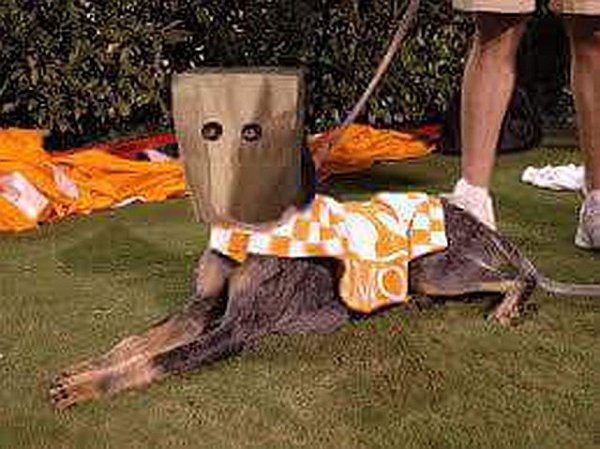 smokey.jpg