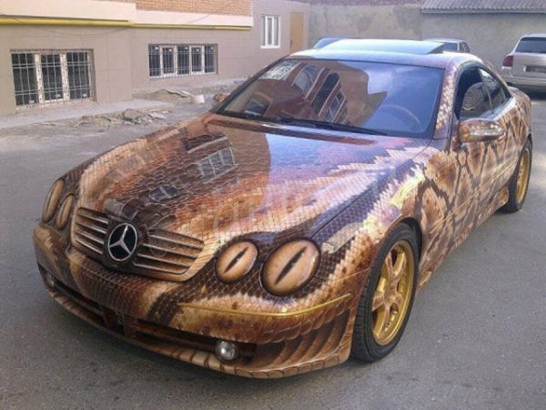 snakeskin wrap.jpg