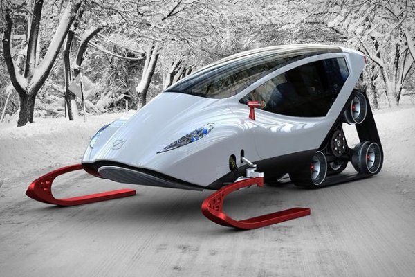 snowcrawler1.jpg