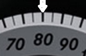 speedo.jpg