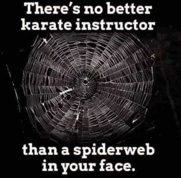 spider web in face karate instructor.jpg