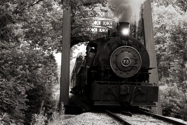 Steam power  email.jpg