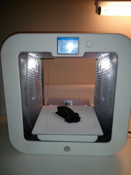 test elio in printer.jpg
