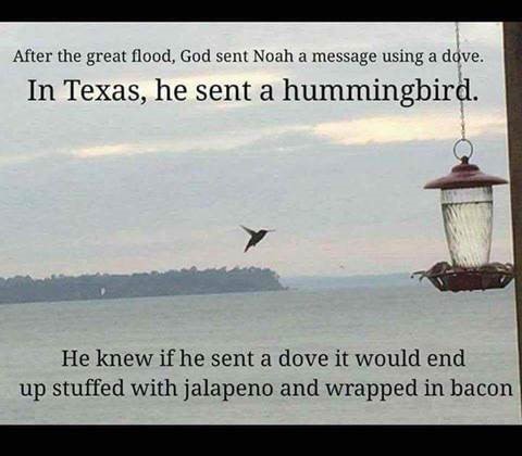 texas flood.jpg
