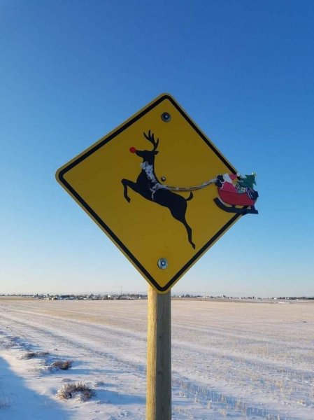 texas rudolph reindeer crossing sign.jpg