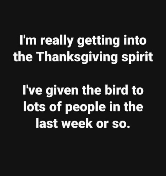 thanksgiving spirit giving the bird.jpg