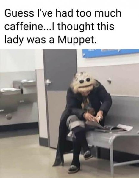thought the lady was a muppet.jpg