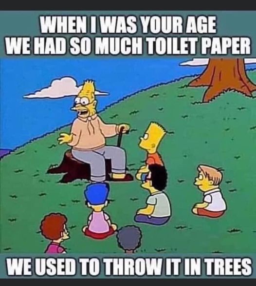toilet paper in the trees.jpg