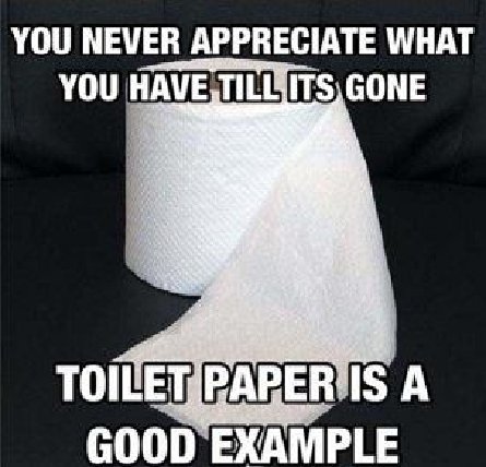 toilet paper..jpg