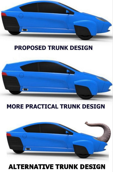 TRUNK.jpg